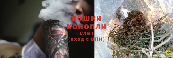 гидра Осинники