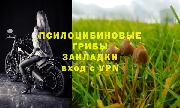 спайс Новозыбков