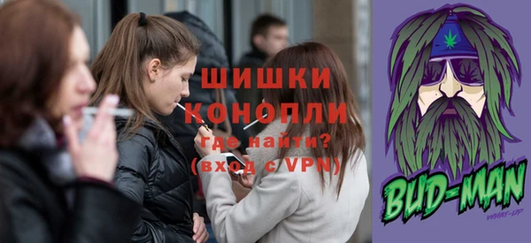 мдпв Дмитров